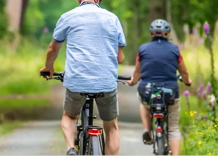 4 Am Rheinufer - Fachwerk,modern,zentral * Koblenz (Rhineland-Palatinate)