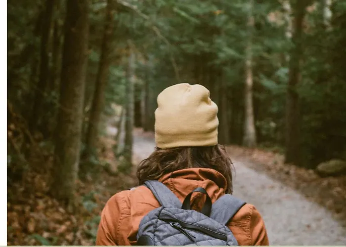 Apartment 4 Am Rheinufer - Fachwerk,modern,zentral *